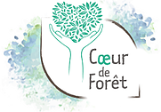 coeur de foret